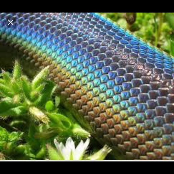 Meet your Posher, Amanda - Picture 1 of 1